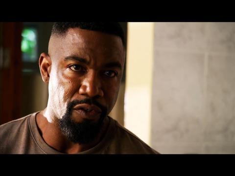 Falcon Rising
