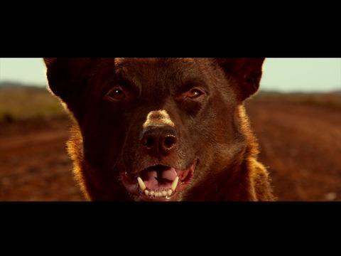 Red Dog: True Blue