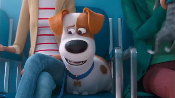 The Secret Life of Pets