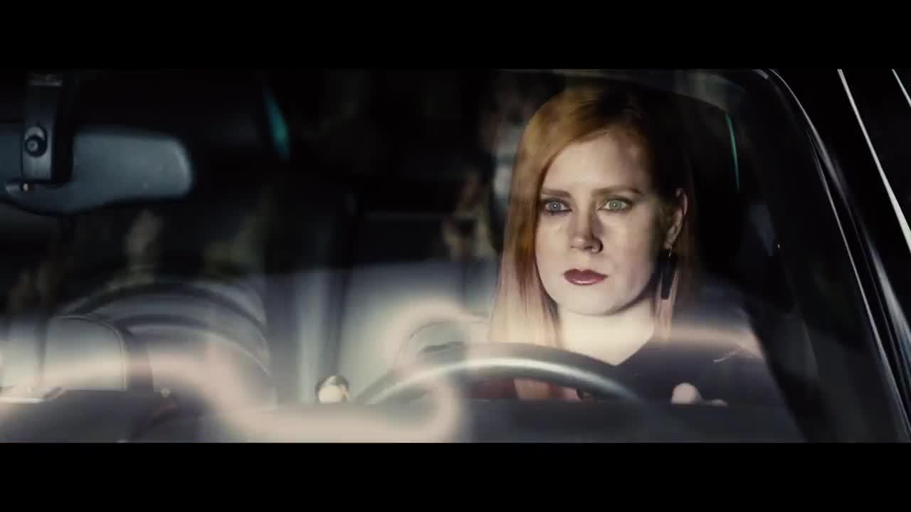 Nocturnal Animals