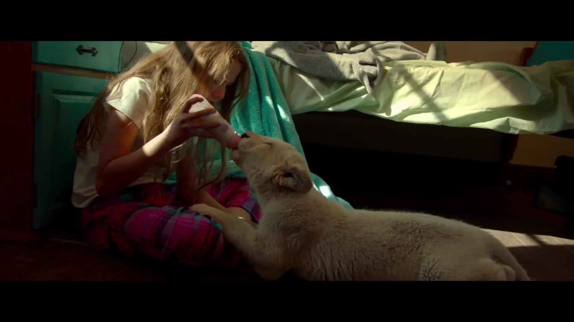 Mia and the White Lion