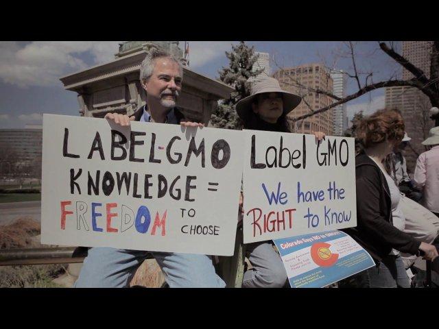 GMO OMG