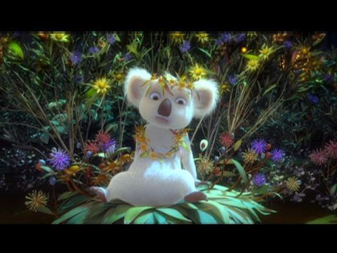 The Koala Kid