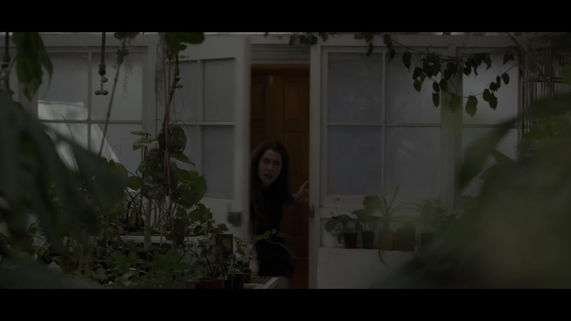 The Greenhouse