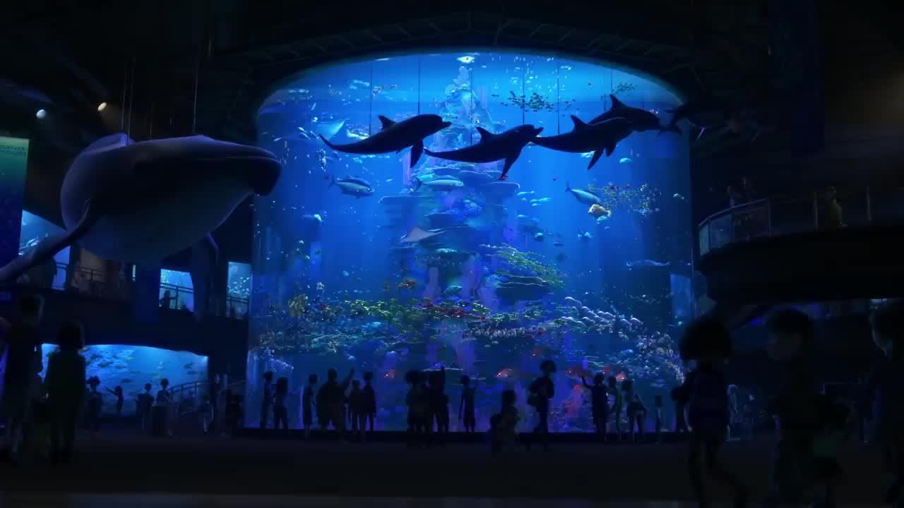 Finding Dory