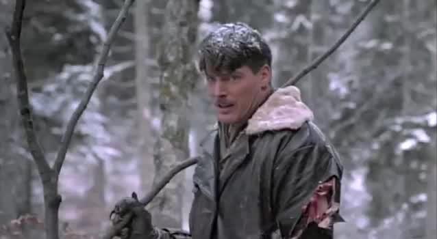 The Aviator