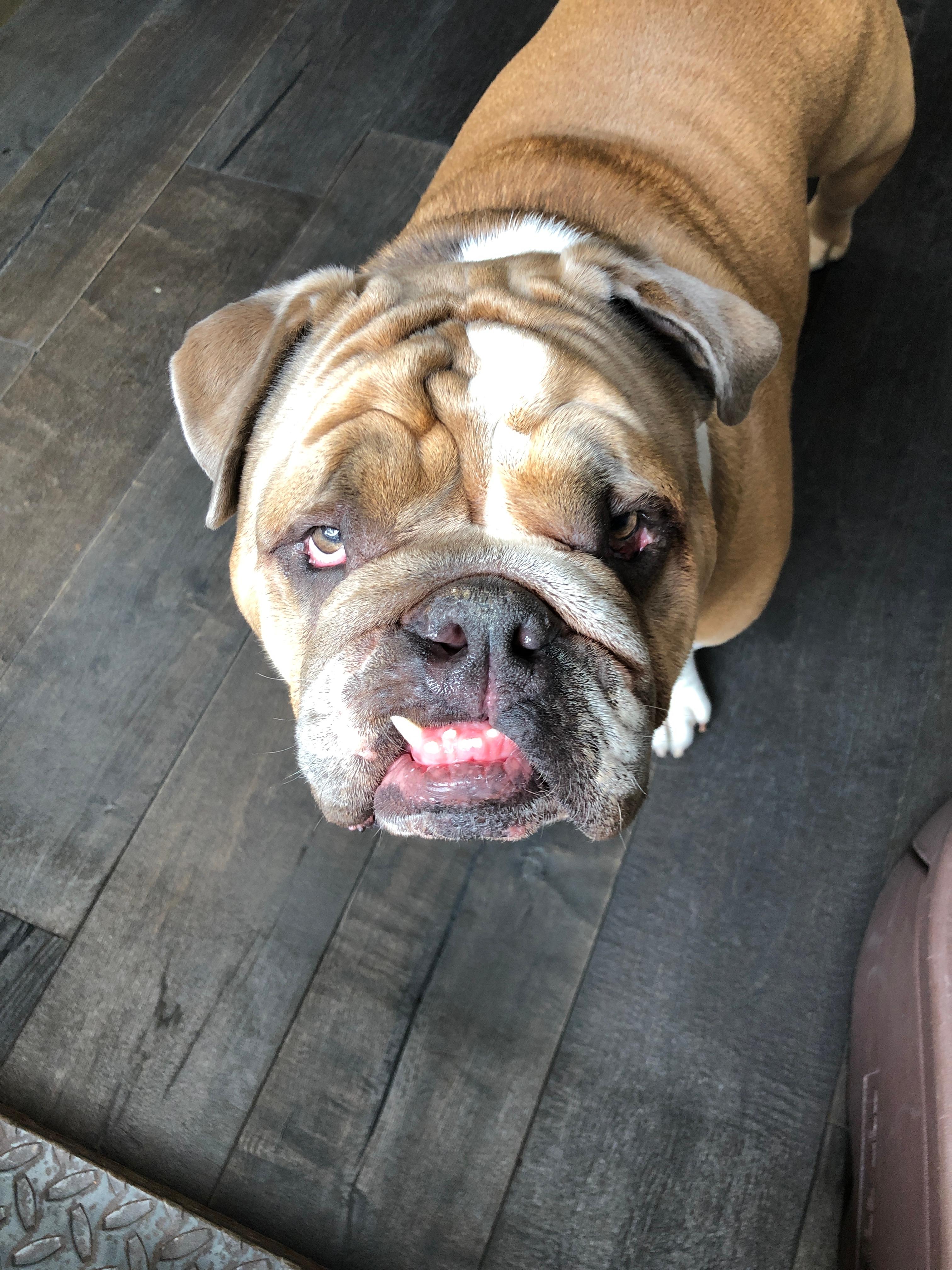 actor Tupac Souza large photo