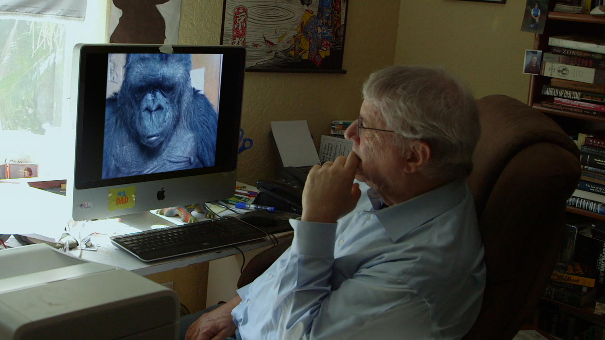 actor Steven M. Wise large photo