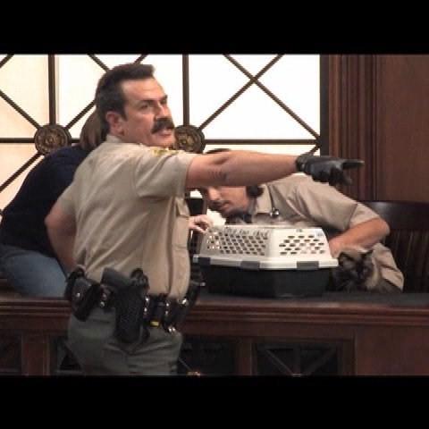 actor James Evans large photo