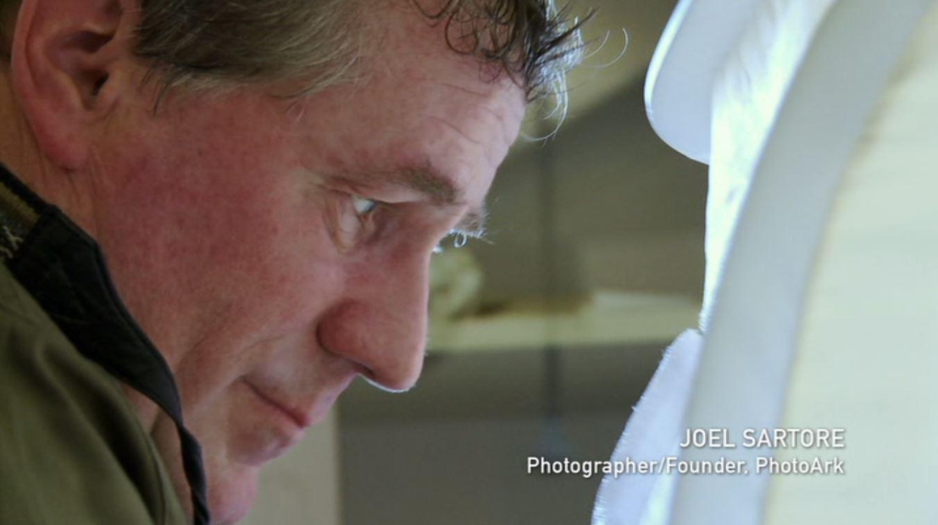 actor Joel Sartore large photo