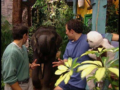 actor Martin Kratt large photo