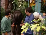 Martin Kratt