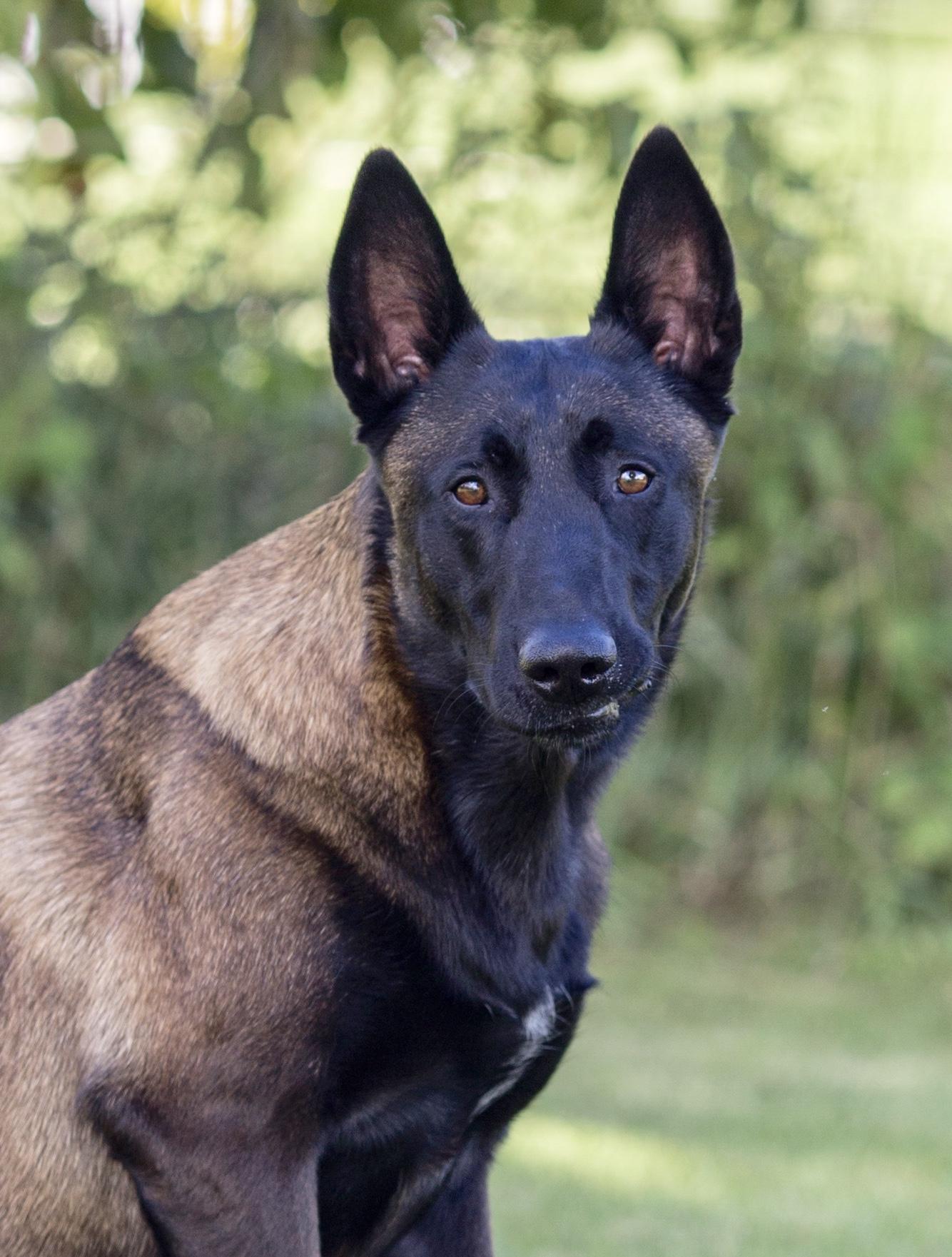 actor Navarre large photo