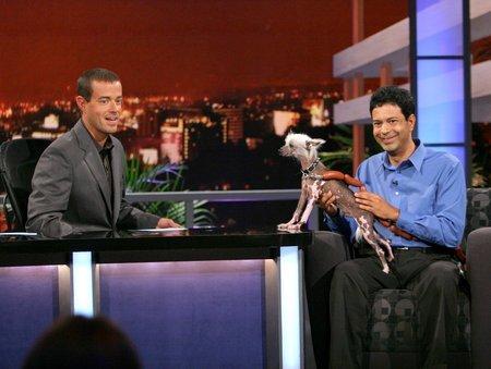 actor Dane Andrew large photo