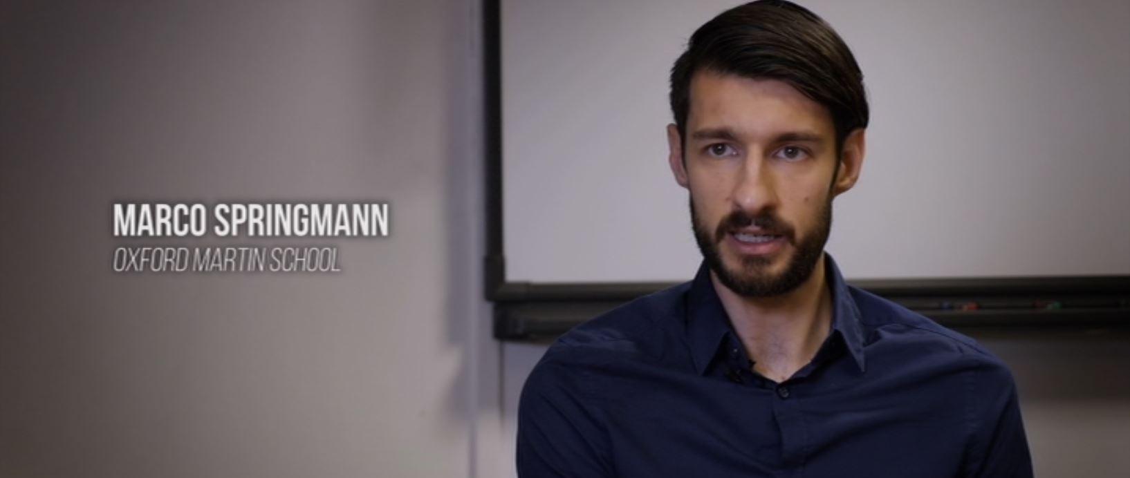 actor Marco Springmann large photo