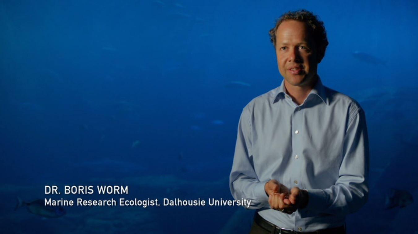 actor Boris Worm large photo