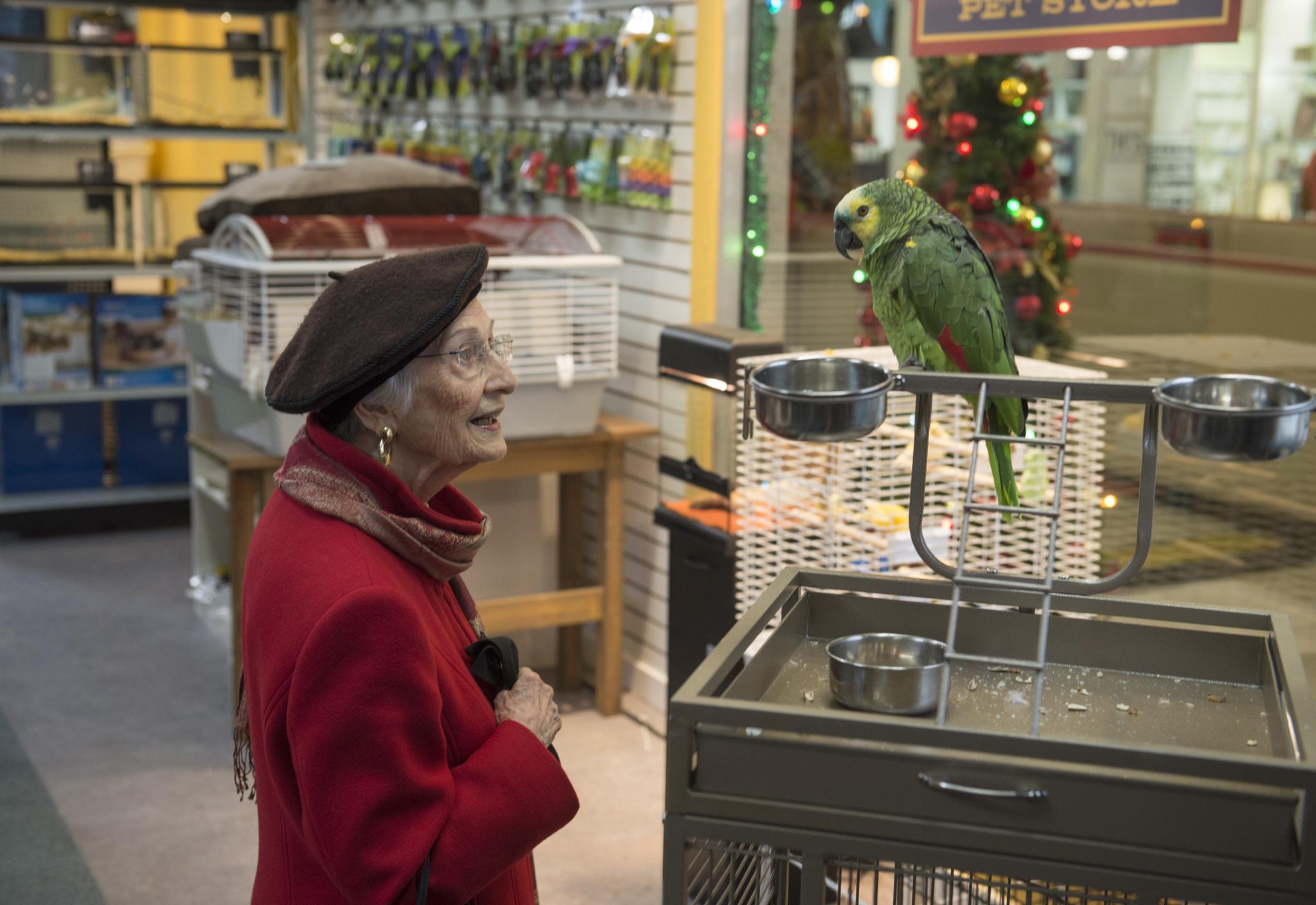 actor Jean Hamilton large photo