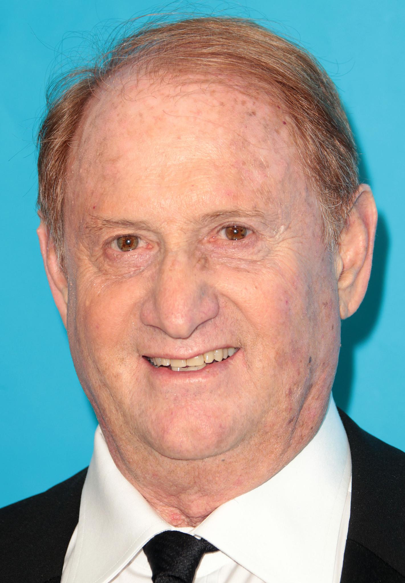 actor Mike Medavoy large photo