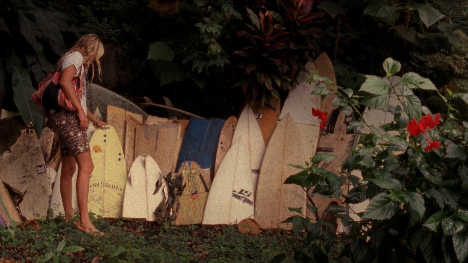 actor Stephanie Gilmore large photo