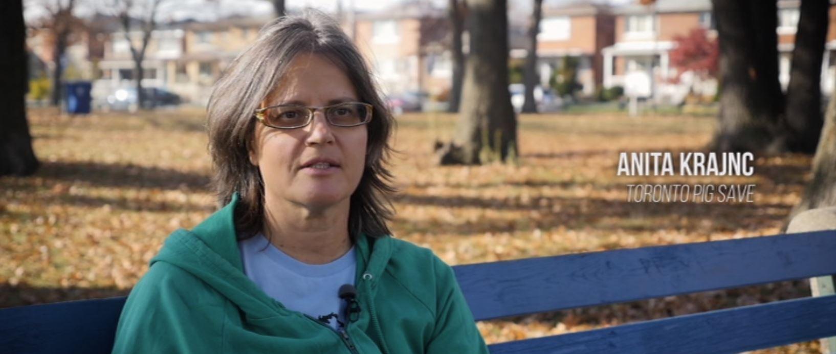 actor Anita Krajnc large photo