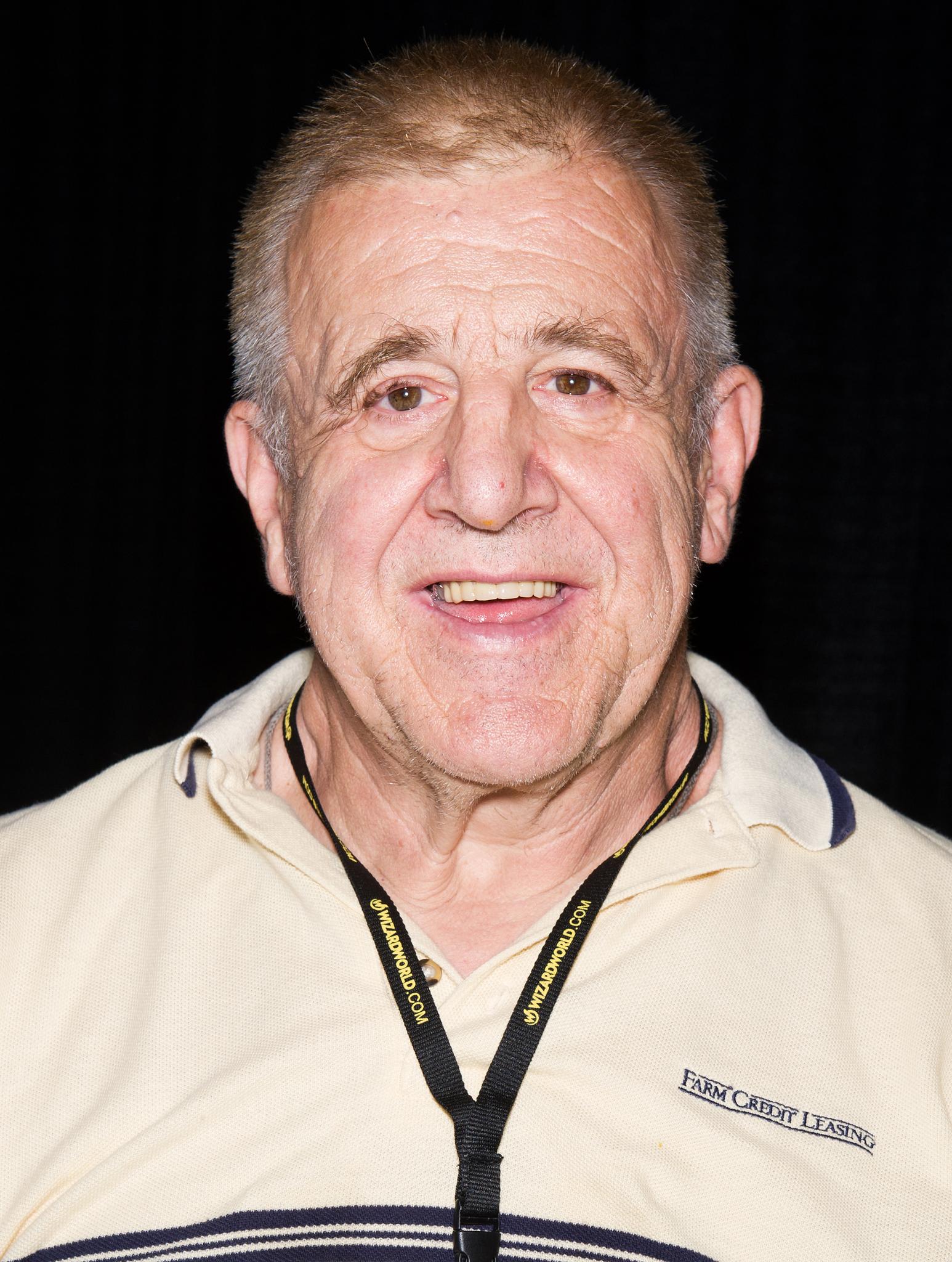 actor Josip Peruzovic large photo