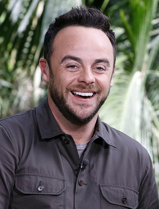 actor Anthony McPartlin large photo