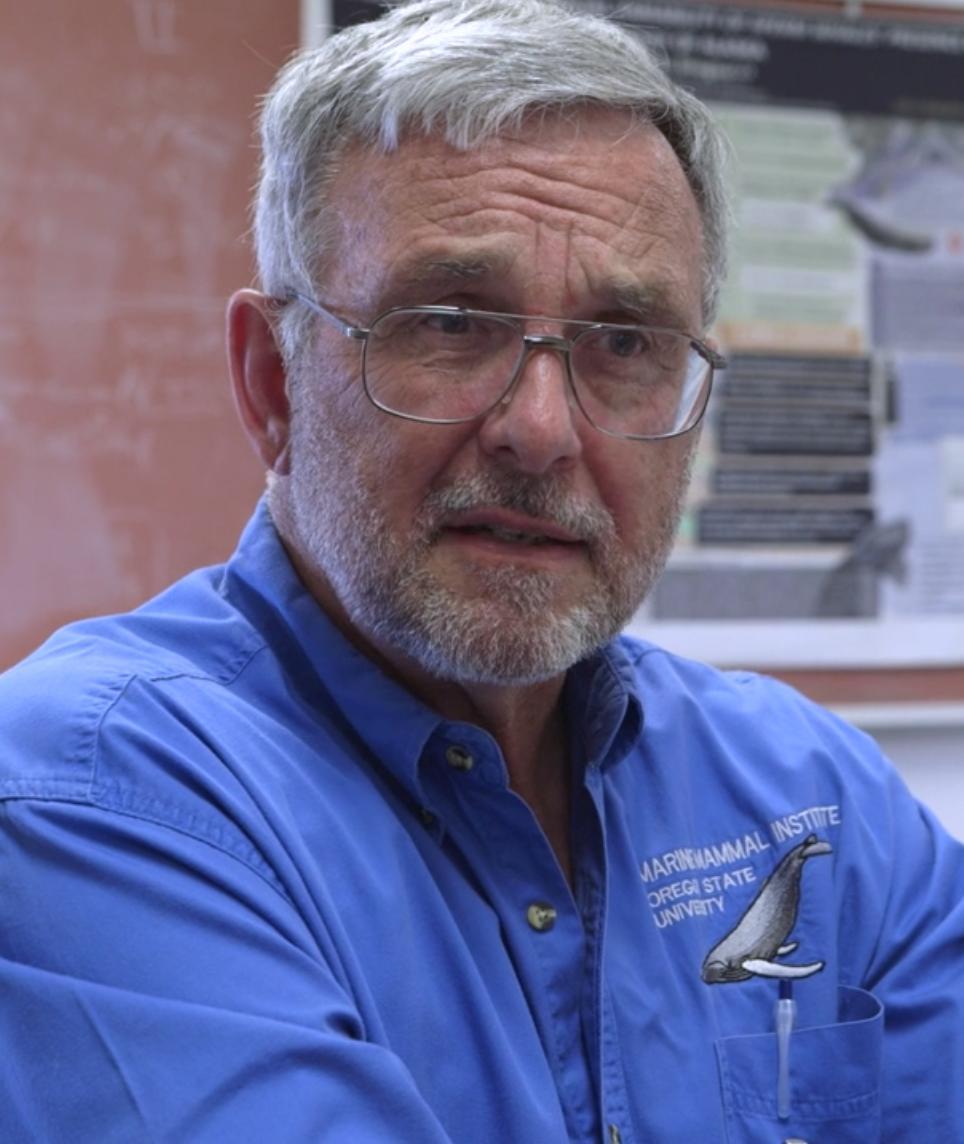 actor Bruce R. Mate large photo