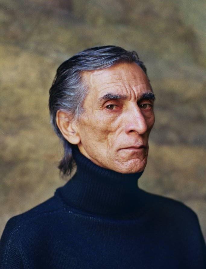 actor Toni Pandolfo large photo