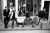 The Damned