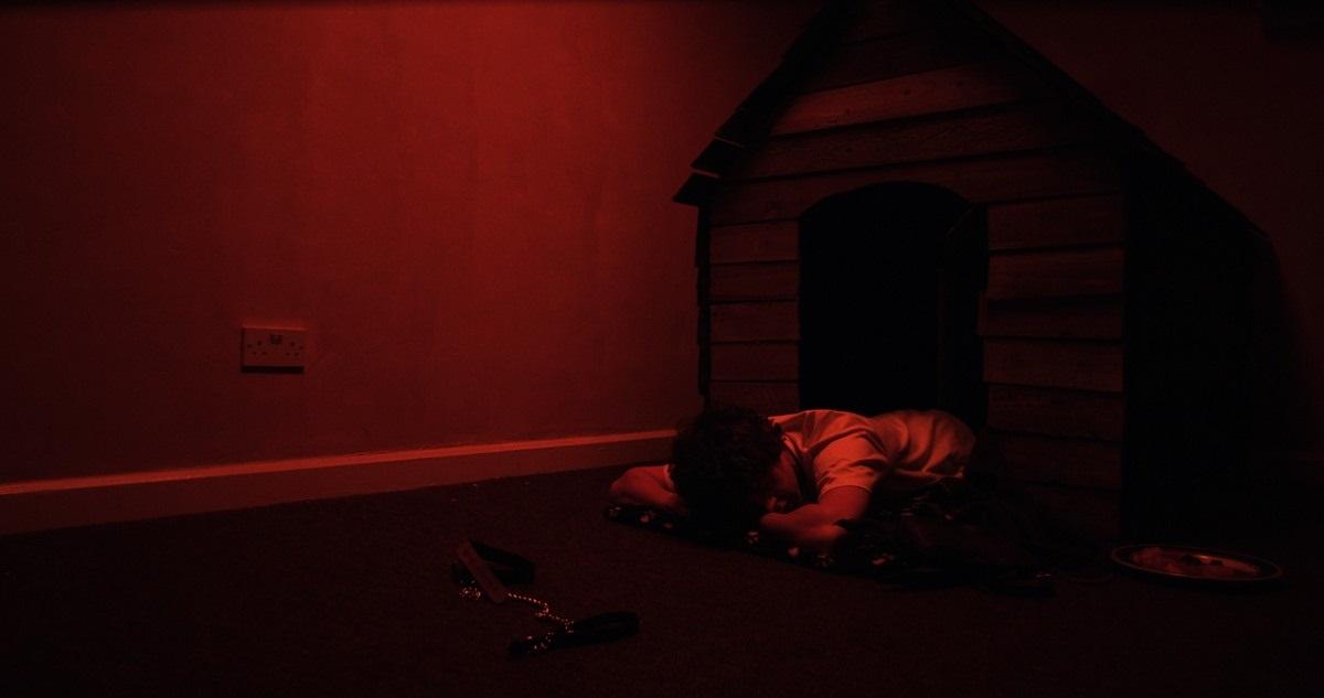 actor Tom Sawyer large photo