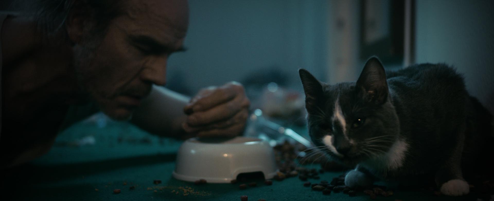 actor Manfred Liechti large photo