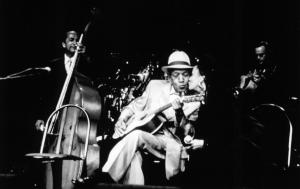 starring avatar