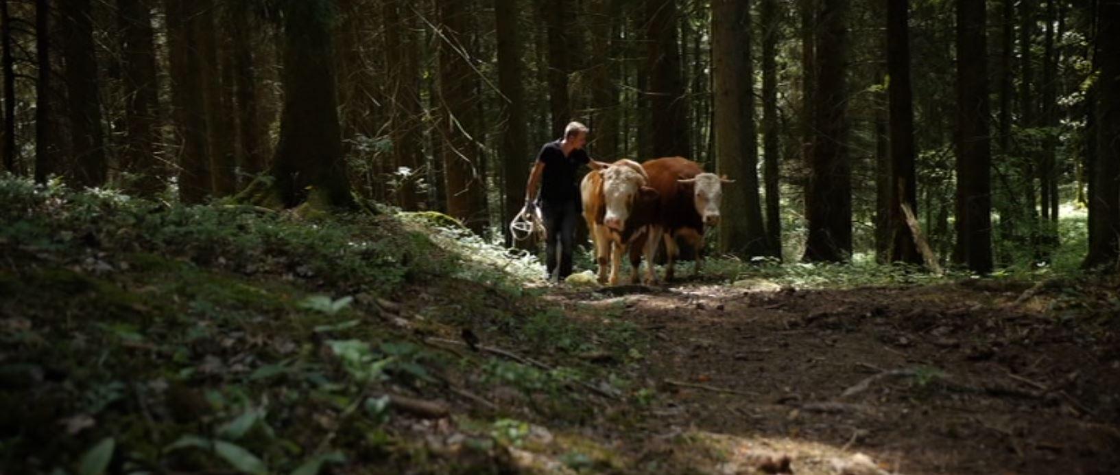 actor Johannes Jung large photo