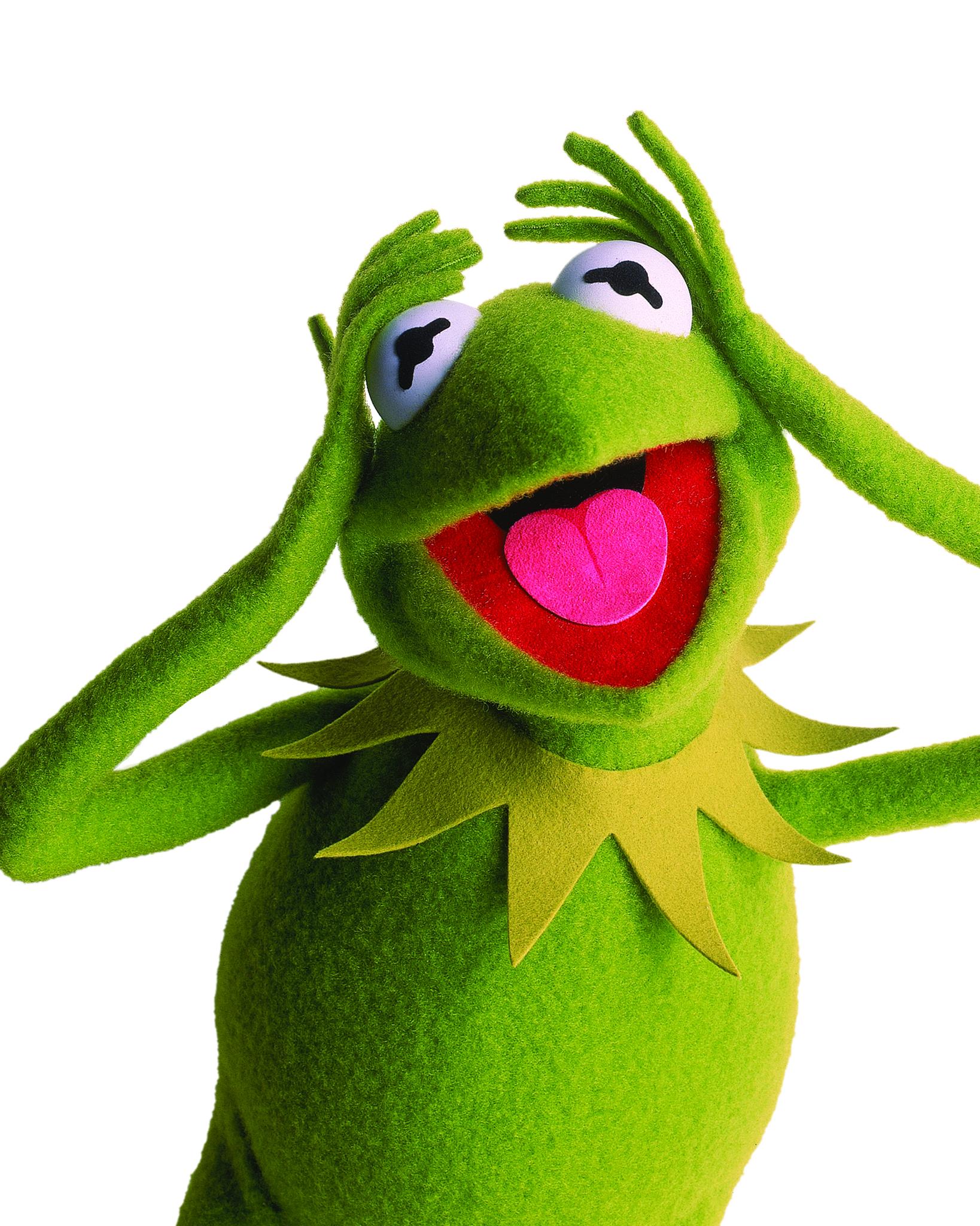 actor Kermit the Frog large photo