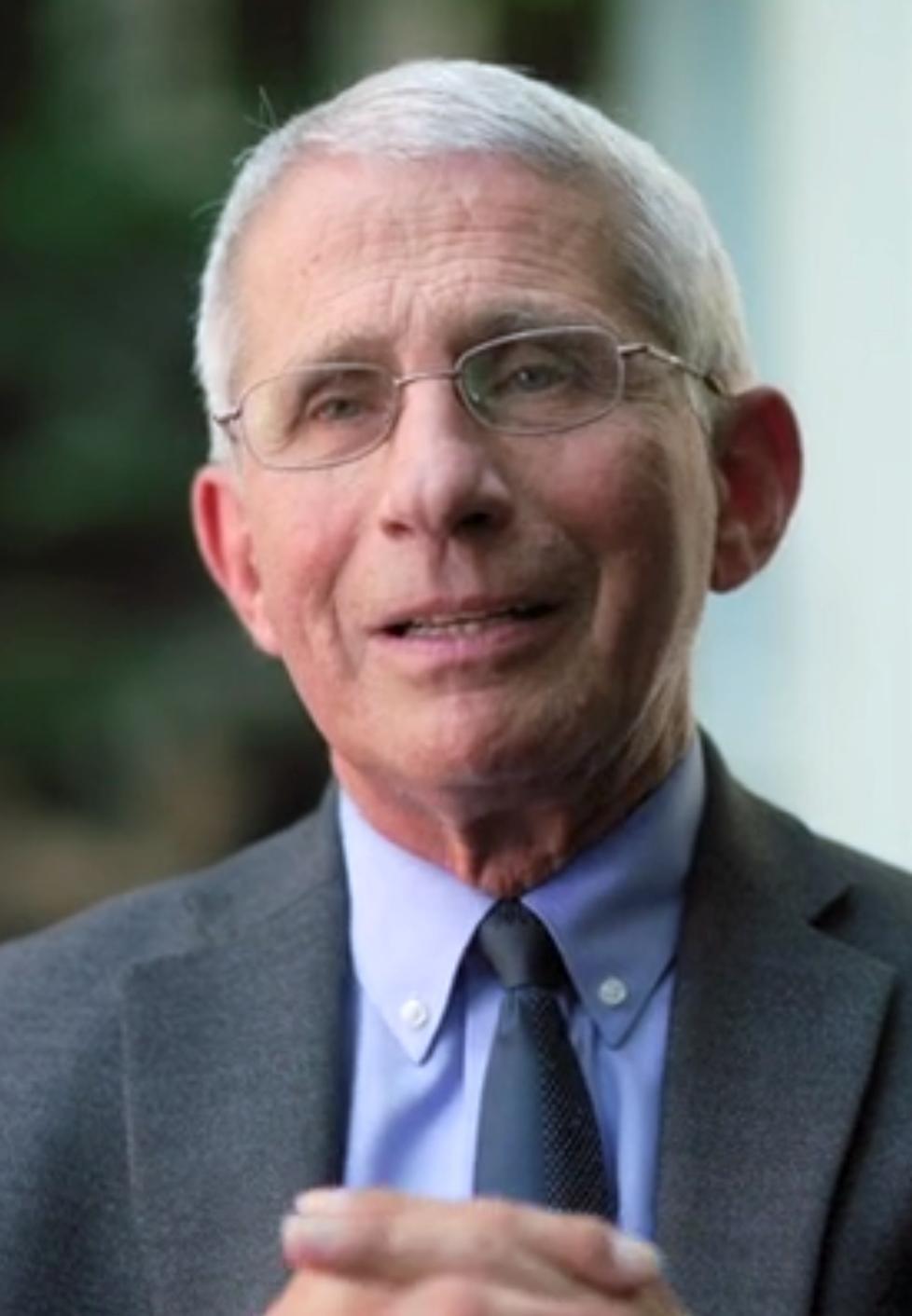 actor Anthony Fauci large photo