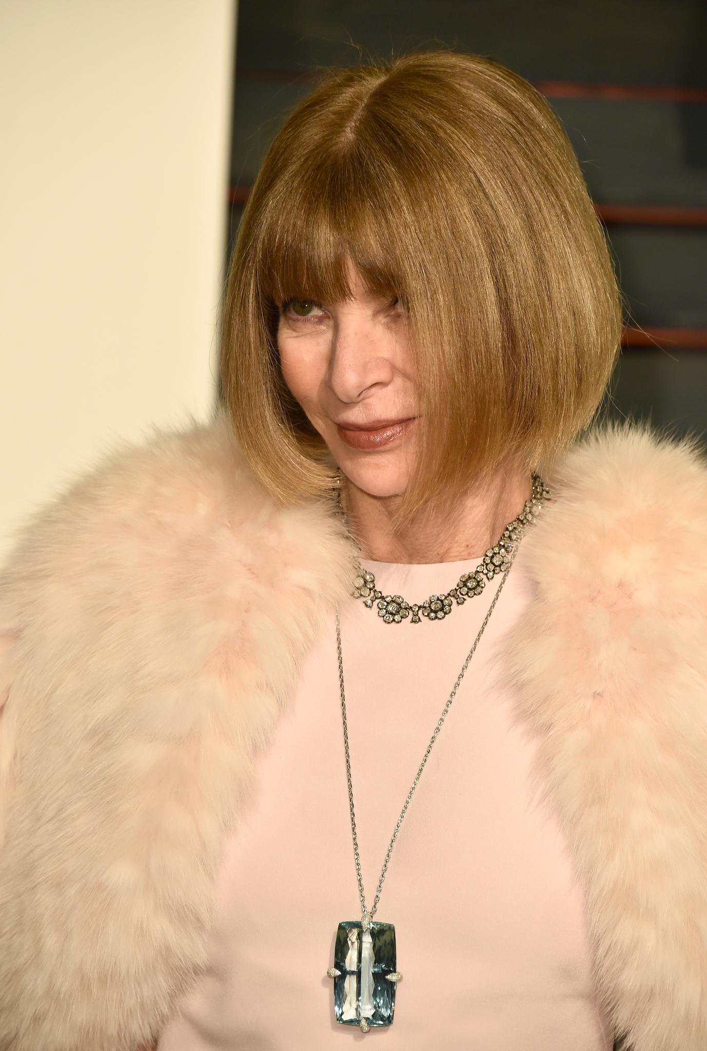 actor Anna Wintour large photo