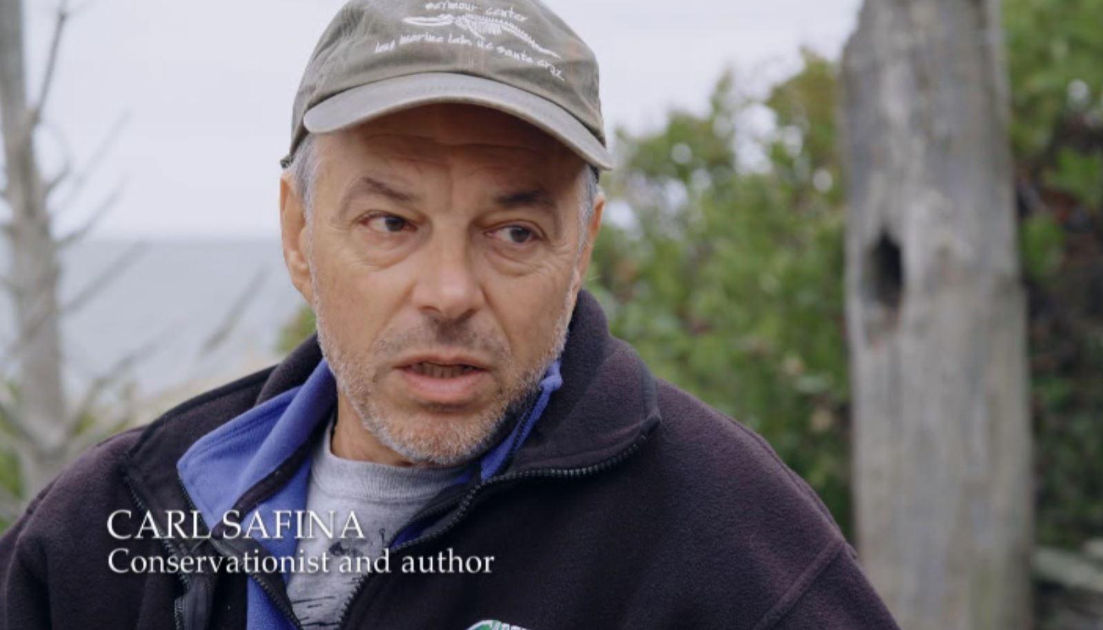 actor Carl Safina large photo