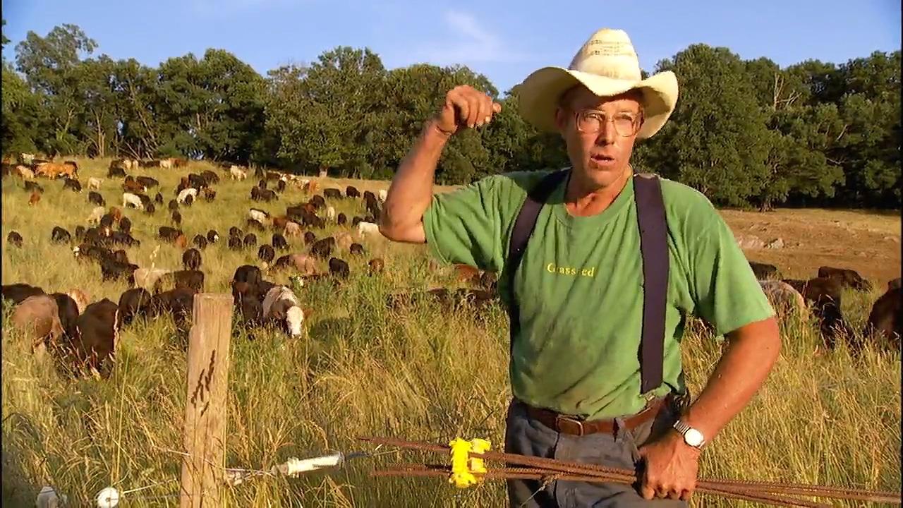 actor Joel Salatin large photo