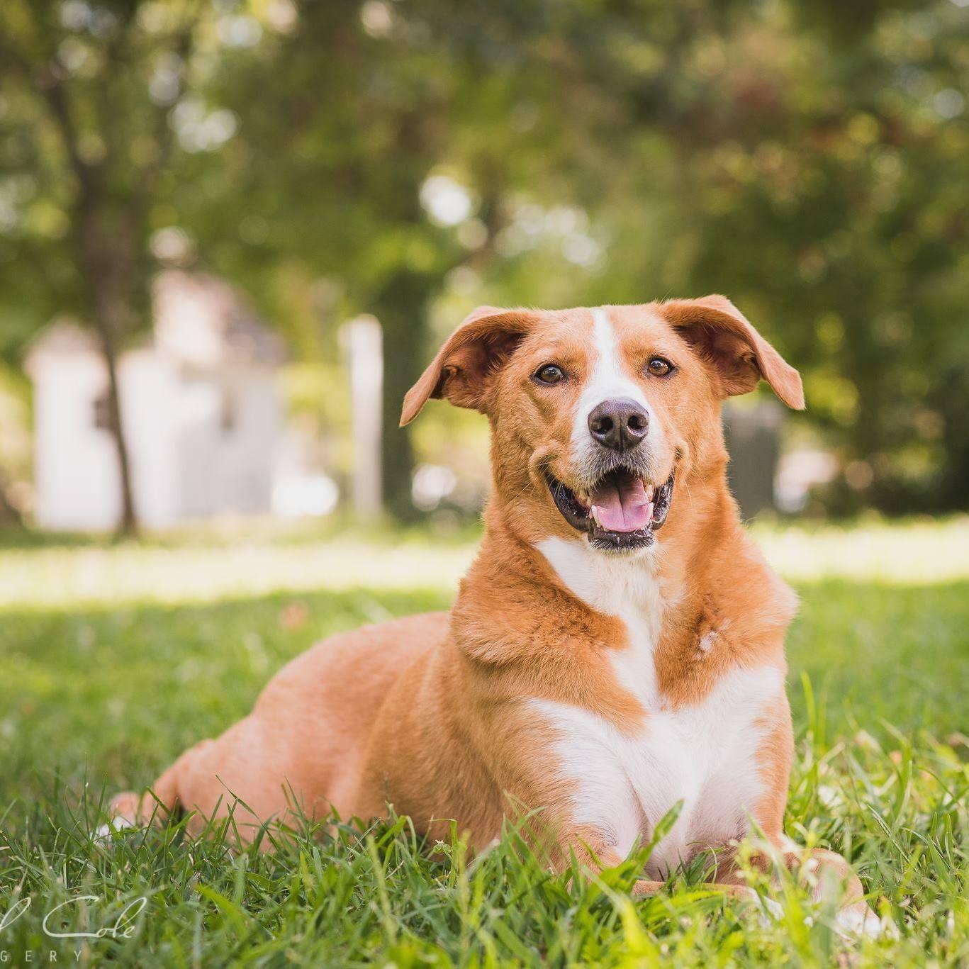 actor Good-Beasley large photo