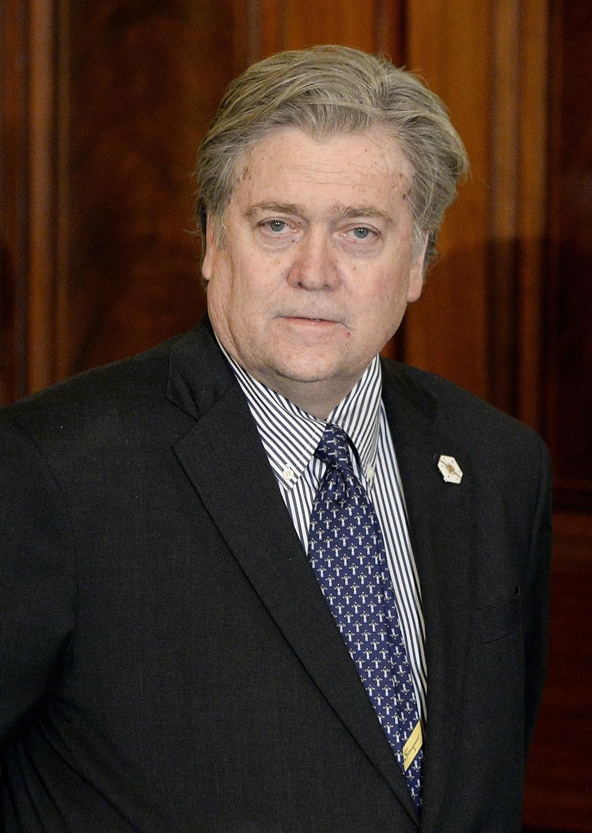 actor Steve Bannon large photo
