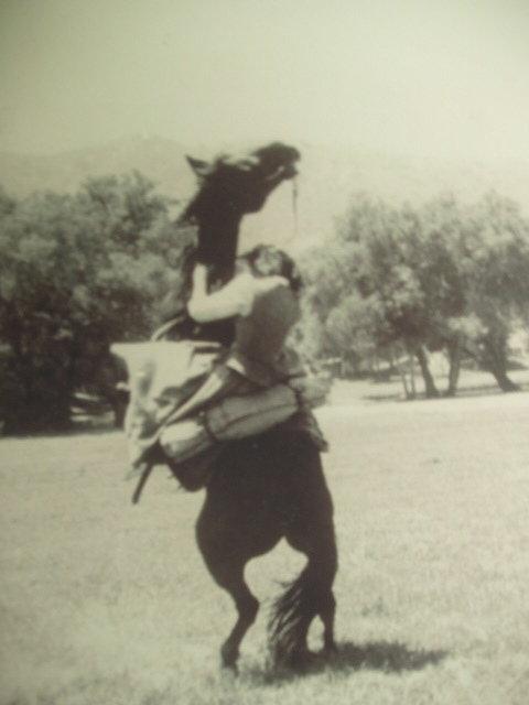 actor Annie Ellis large photo