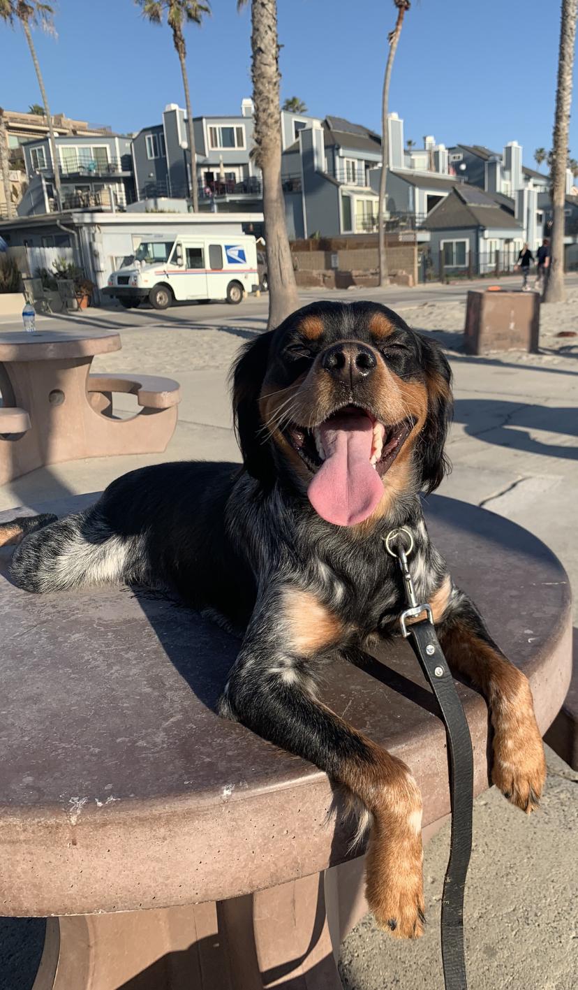 actor Darrin Ortiz large photo