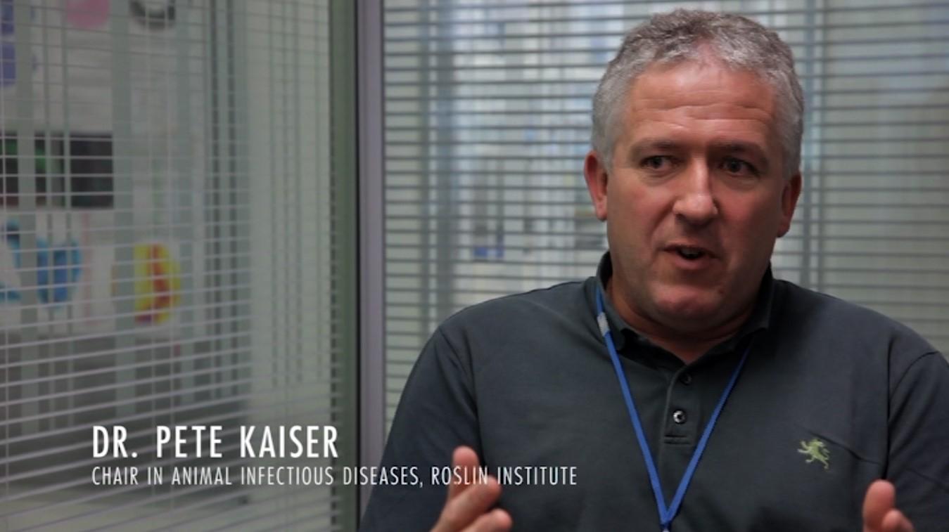 actor Pete Kaiser large photo