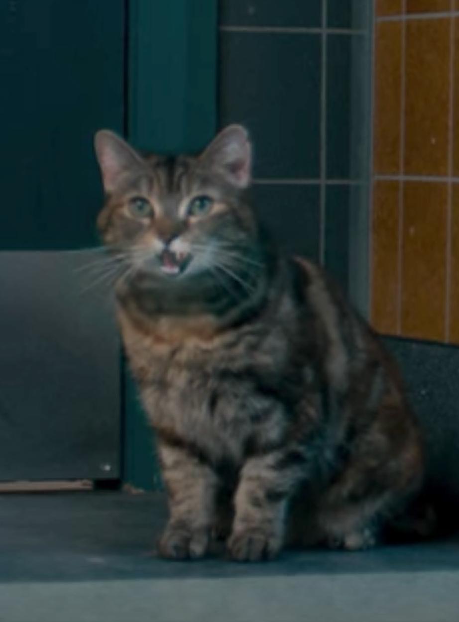 actor Sydney large photo