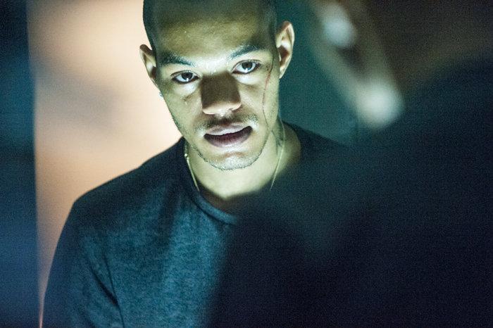 actor Harley Sulé large photo