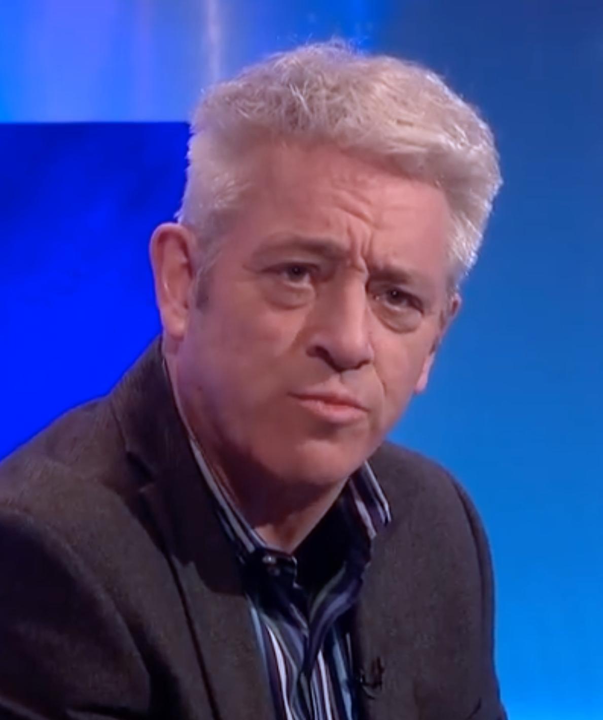 actor John Bercow large photo