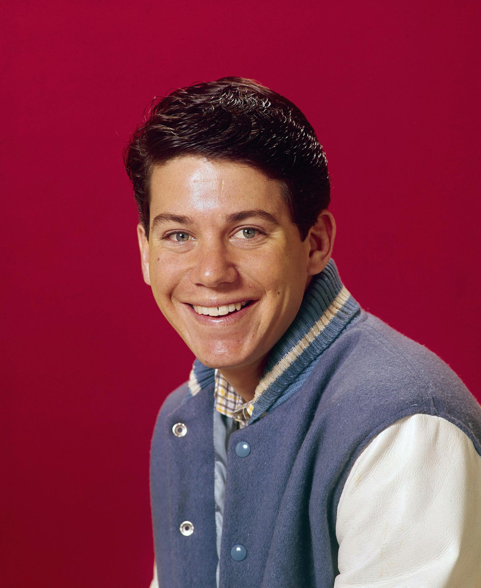 actor Anson Williams large photo
