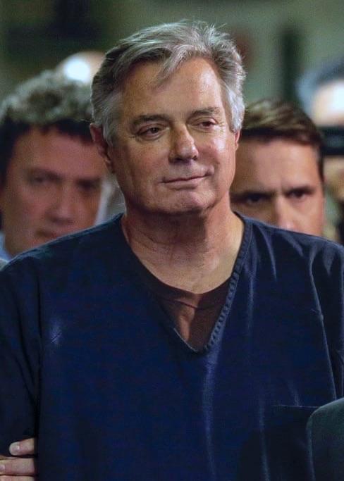 actor Paul Manafort large photo