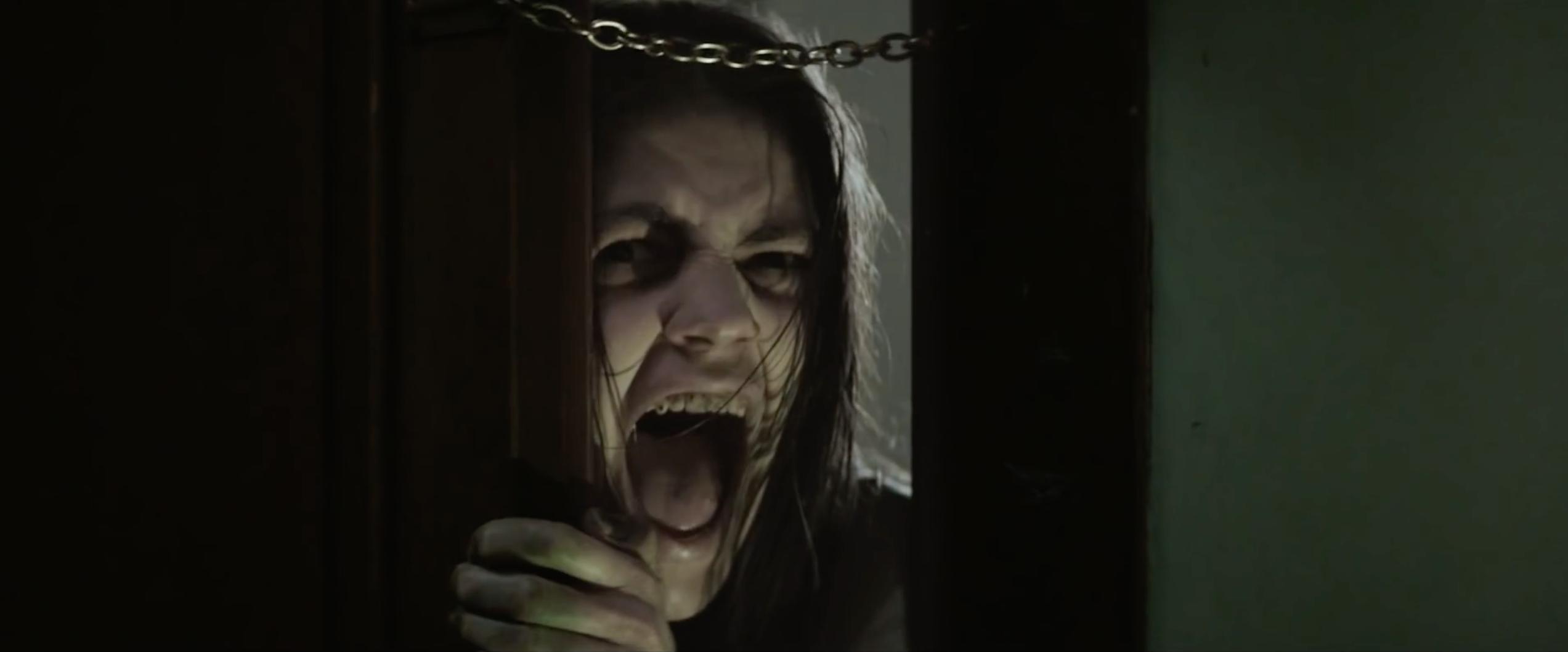 actor Ada Lupu large photo