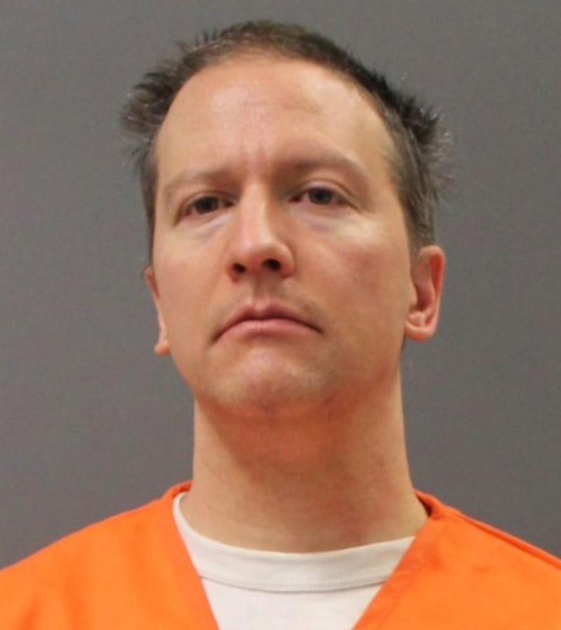 actor Derek Chauvin large photo